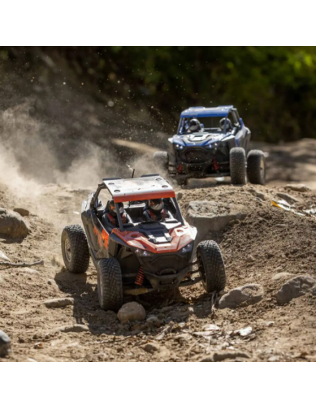 Polaris RZR Rey FOX Edition, Losi 1/10 4WD Brushless RTR, Radiostyrd bil