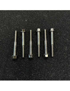 ÅE Titanskruv Variatorlock P85