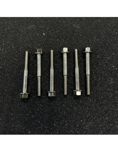 ÅE Titanskruv Variatorlock P85