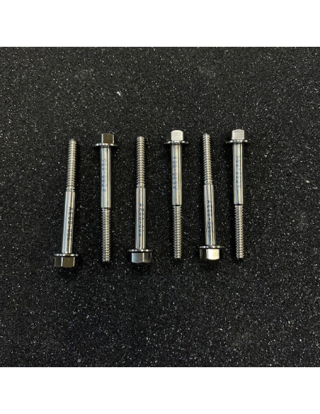 ÅE Titanskruv Variatorlock P85