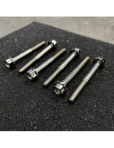 ÅE Titanskruv Variatorlock P85