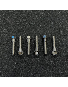 ÅE Titanskruv Variatorlock P22