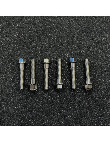 ÅE Titanskruv Variatorlock P22