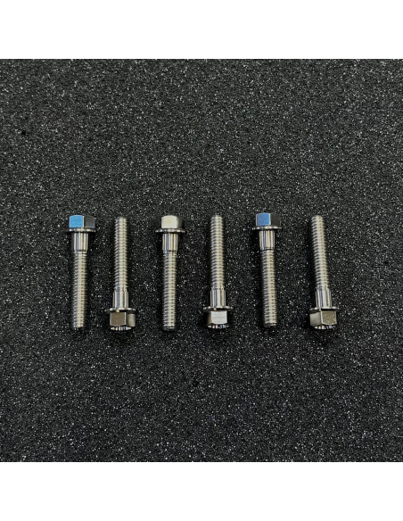 ÅE Titanskruv Variatorlock P22