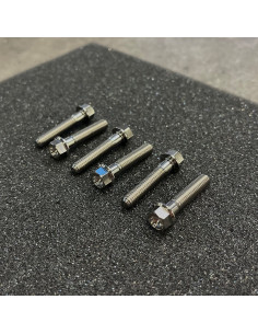 ÅE Titanskruv Variatorlock P22 2