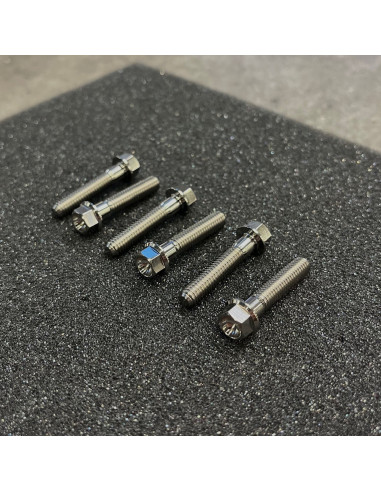 ÅE Titanskruv Variatorlock P22