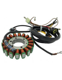 Bronco Stator Polaris
