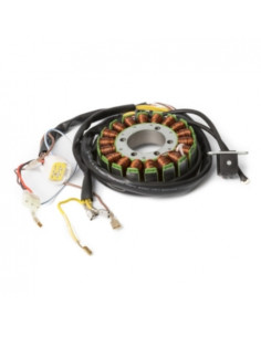 Kimpex Stator Polaris