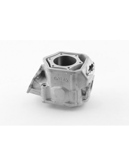 Utbytescylinder Rotax