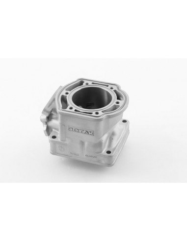 Utbytescylinder Rotax