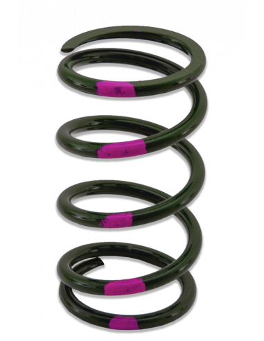 PRIMÄRFJÄDER POLARIS/ARCTIC-CAT