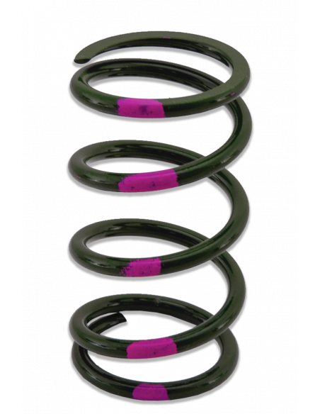 PRIMÄRFJÄDER POLARIS/ARCTIC-CAT