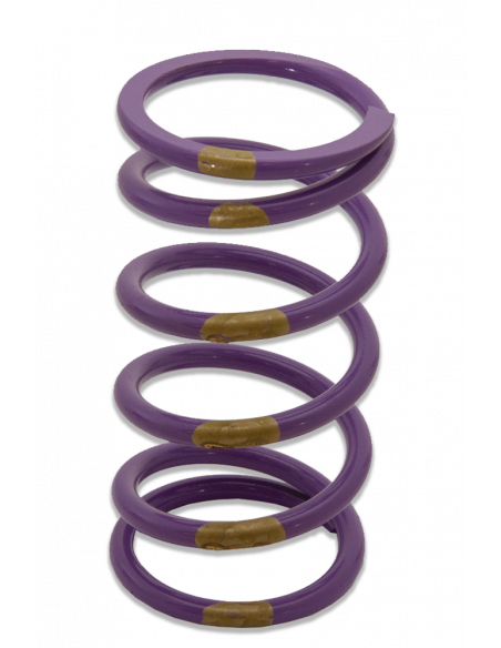 PRIMÄRFJÄDER POLARIS/ARCTIC-CAT