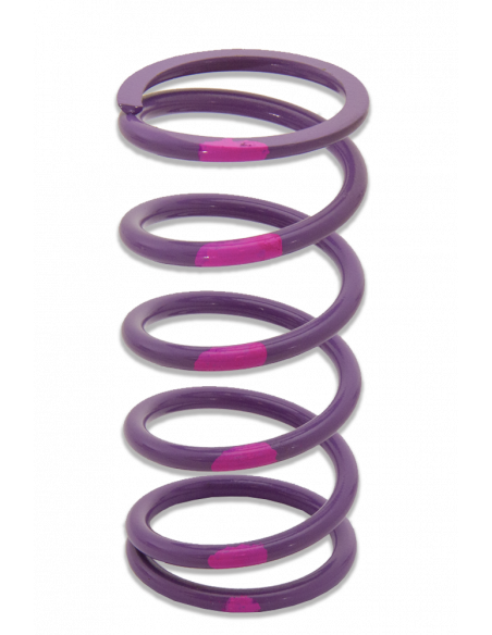 PRIMÄRFJÄDER POLARIS/ARCTIC-CAT