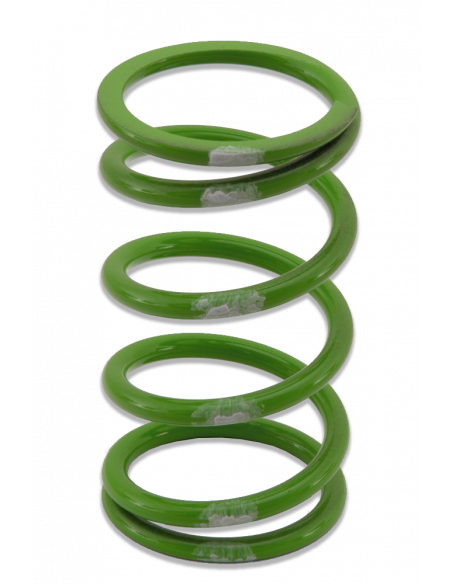 PRIMÄRFJÄDER POLARIS/ARCTIC-CAT