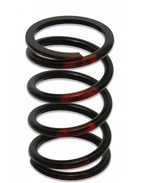 PRIMÄRFJÄDER POLARIS/ARCTIC-CAT