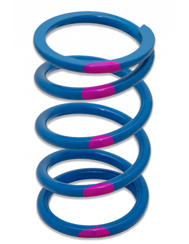 PRIMÄRFJÄDER POLARIS/ARCTIC-CAT