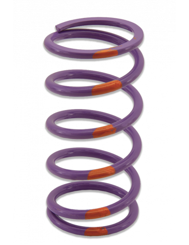 PRIMÄRFJÄDER POLARIS/ARCTIC-CAT