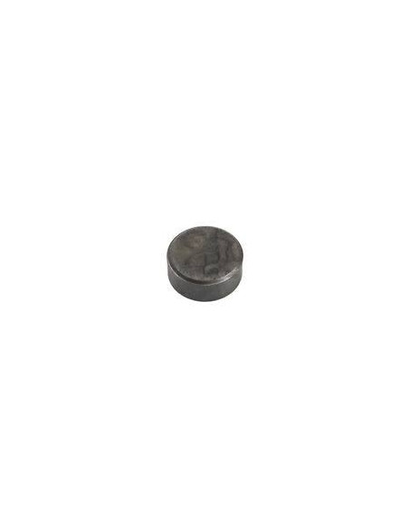 Polaris Original Button