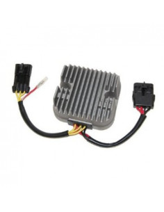 Bronco Voltregulator Polaris