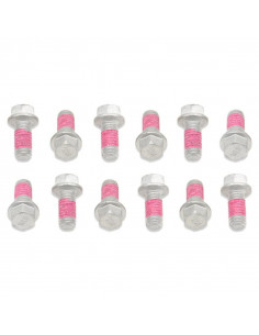 Bolt Skruvar för Bromsskiva